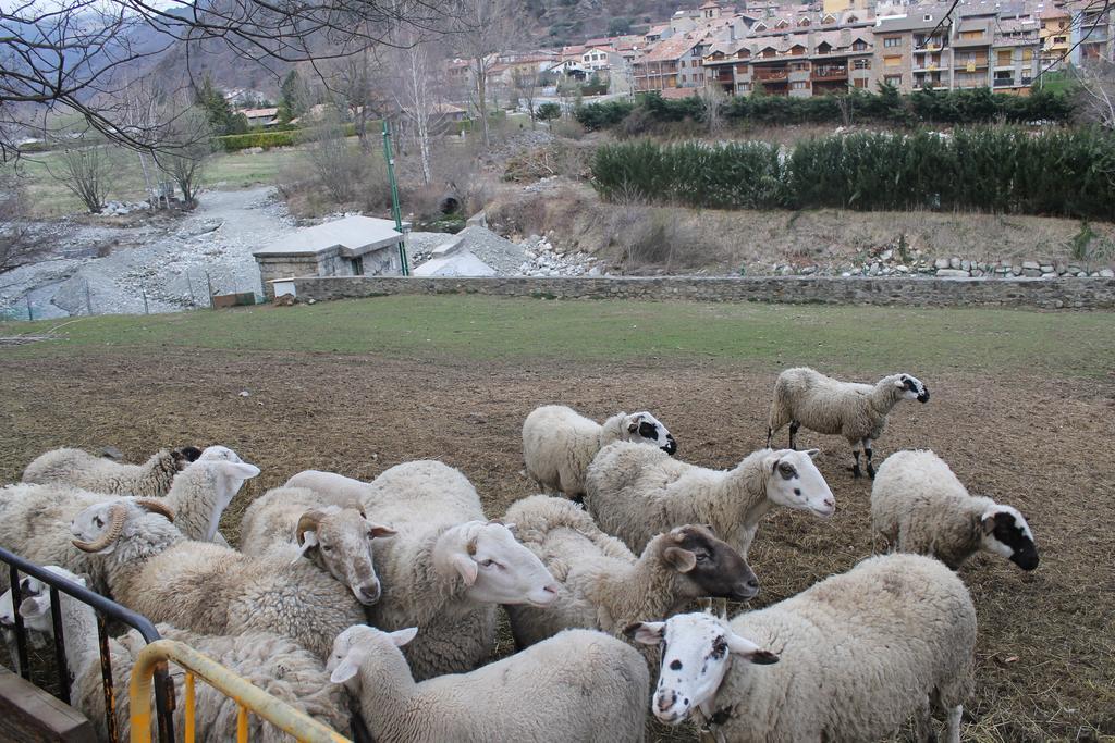 Apartament Torrent De La Barruda Daire Vilallonga de Ter Dış mekan fotoğraf